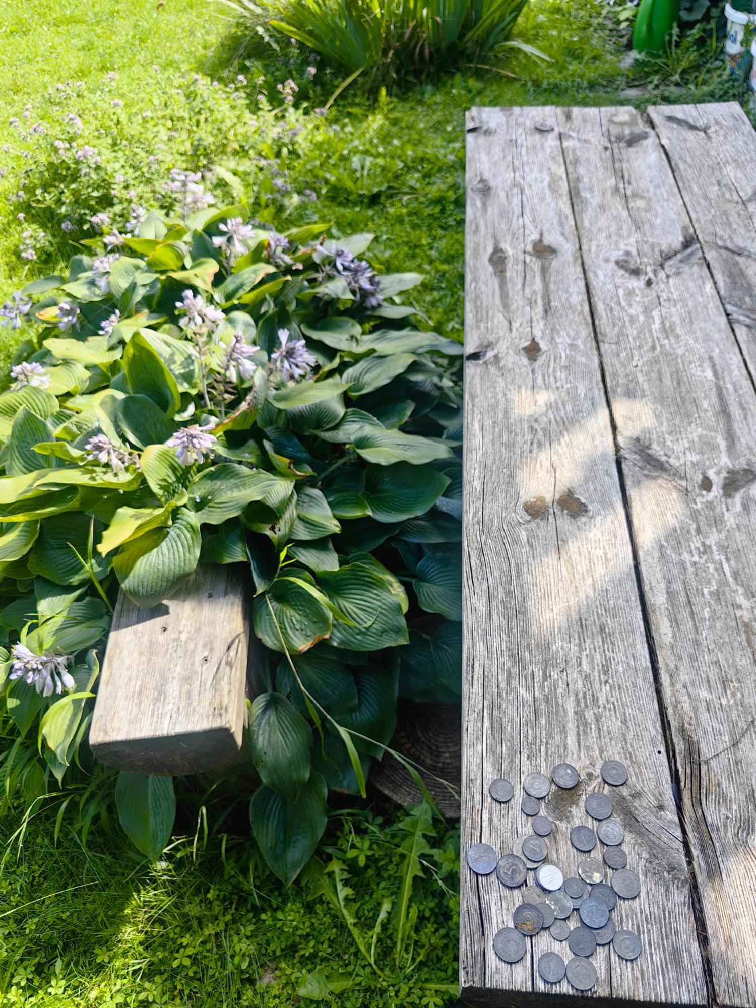 Hisa Hortenzija Luče Esterno foto