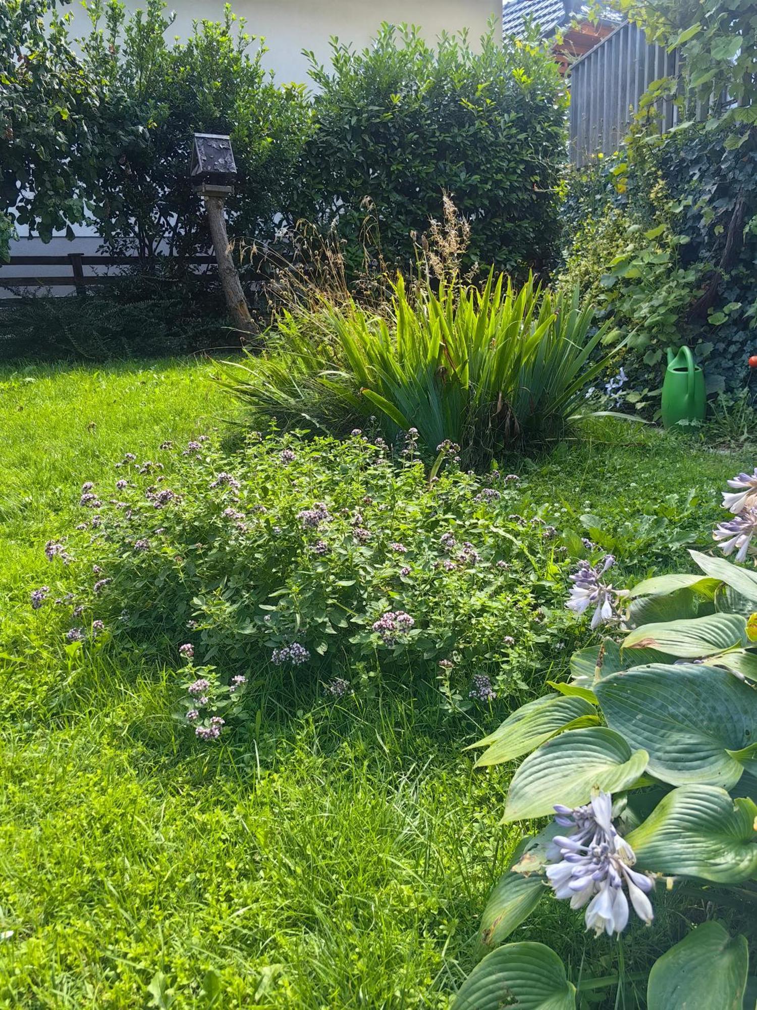Hisa Hortenzija Luče Esterno foto