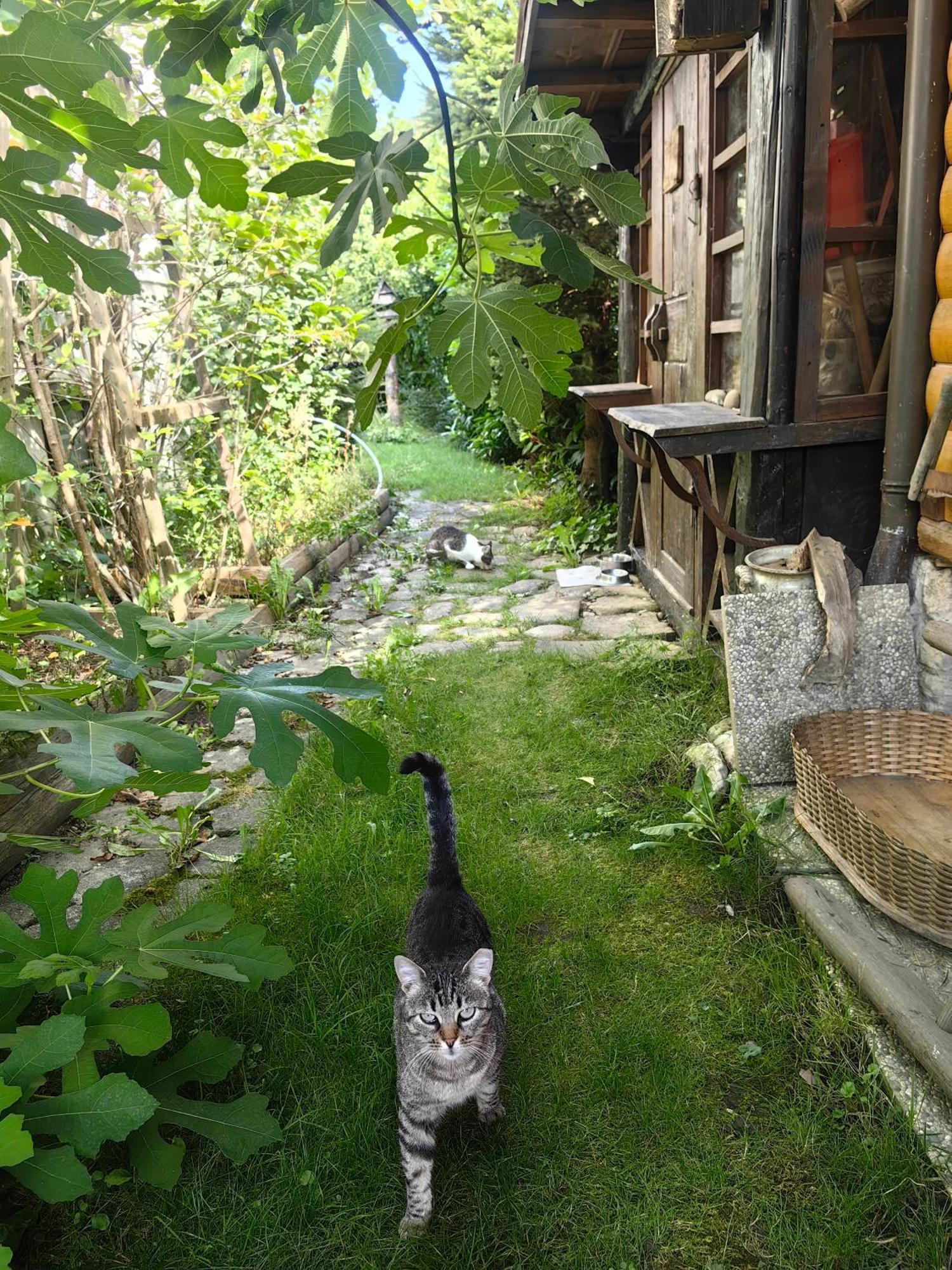 Hisa Hortenzija Luče Esterno foto
