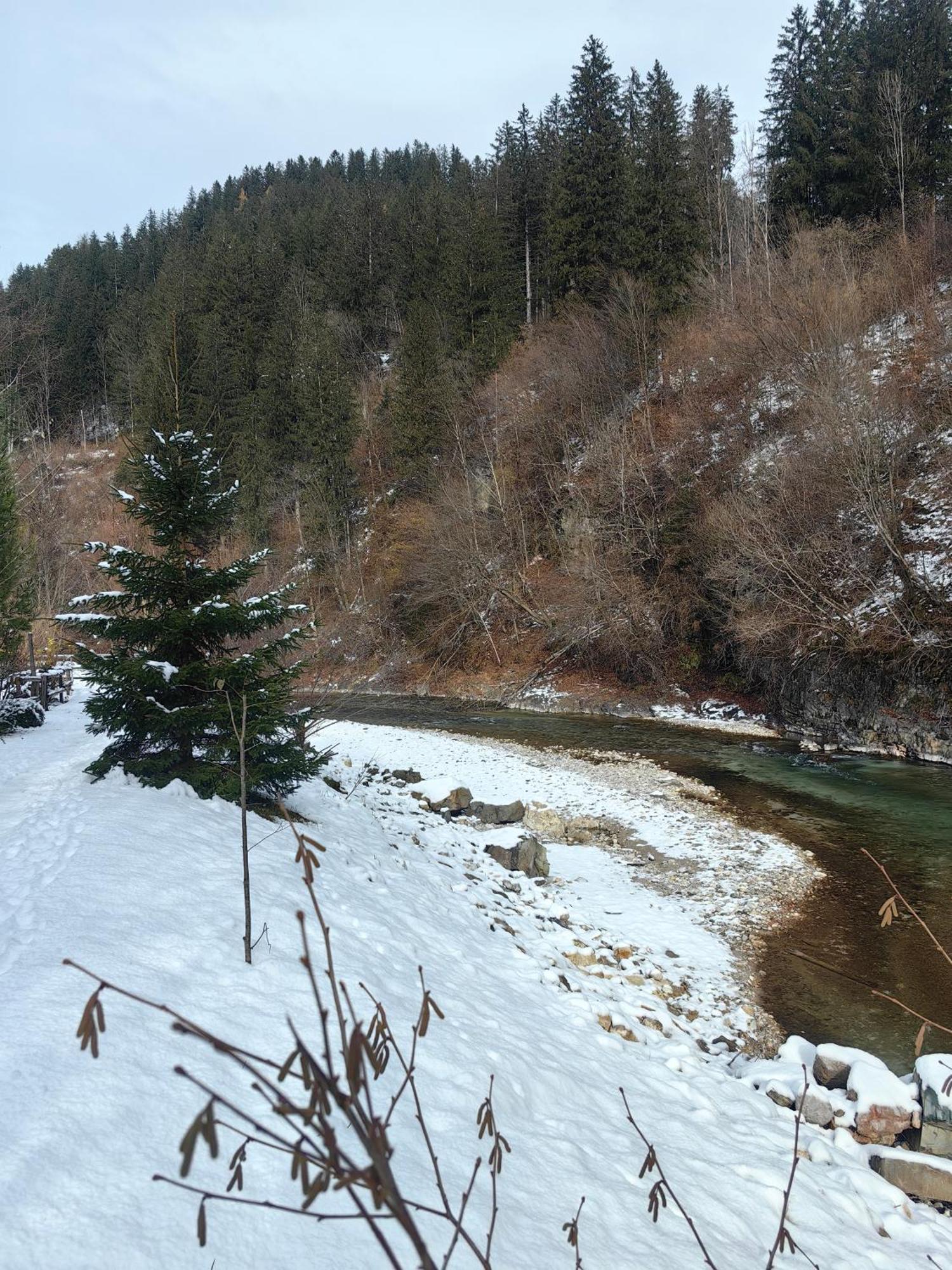 Hisa Hortenzija Luče Esterno foto